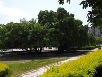 贛南師范學(xué)院科技學(xué)院2023年學(xué)費、收費多少