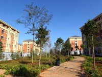 云南大學(xué)師范學(xué)院呈貢校區(qū)歷年招生錄取分?jǐn)?shù)線(xiàn)