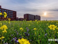 南開師范大學(xué)津南校區(qū)2023年學(xué)費、收費多少