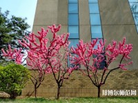 中央財經(jīng)師范大學學院南路校區(qū)2023年招生辦聯(lián)系電話