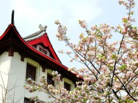 四川大學師范學院望江校區(qū)2023年排名