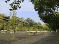 四川大學師范學院江安校區(qū)2023年學費、收費多少