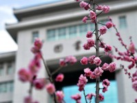 延安大學師范學院楊家?guī)X校區(qū)2023年學費、收費多少