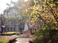 東華大學(xué)師范學(xué)院延安路校區(qū)2023年學(xué)費、收費多少