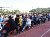 廈門(mén)城市師范職業(yè)學(xué)院學(xué)院2023年學(xué)費(fèi)、收費(fèi)多少