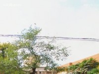 西安職業(yè)中等幼師專業(yè)學(xué)校2023年報(bào)名條件、招生要求、招生對象