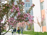渭南職業(yè)技術師范學院朝陽校區(qū)2023年學費、收費多少