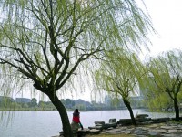 金華職業(yè)技術(shù)師范學(xué)院2023年學(xué)費(fèi)、收費(fèi)多少