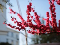山東威海藝術(shù)幼兒師范學(xué)校2023年學(xué)費(fèi)、收費(fèi)多少