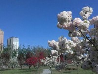 河北正定師范高等?？茖W(xué)校2023年招生錄取分數(shù)線