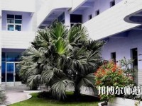 四川信息工程幼兒師范學(xué)校2023年報(bào)名條件、招生要求、招生對(duì)象