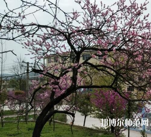 貴陽中華幼師職業(yè)學(xué)校2023年怎么樣、好不好