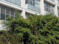 貴州貴陽中山科技幼兒師范學(xué)校2023年學(xué)費、收費多少