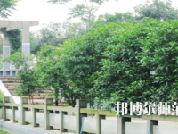 德陽通用電子科技幼兒師范學(xué)校2021年報名條件、招生要求、招生對象
