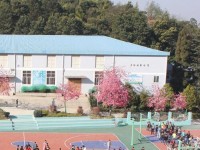 云南林業(yè)幼兒師范高級技工學(xué)校2023年學(xué)費(fèi)、收費(fèi)多少