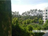 江西中專幼師學(xué)?？梢钥即髮? /><b>江西中專幼師學(xué)?？梢钥即髮?/b><span>2019-09-12 10:09</span><p>如果現(xiàn)在是中專學(xué)歷的話，可以選擇一所大專院校參加學(xué)校的對(duì)口升學(xué)考試，要知道現(xiàn)在的中專學(xué)歷就相當(dāng)于高中學(xué)歷的，所以還是要找</p></a></li>
            <li><a href=