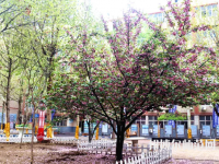石家莊法商幼兒師范中等專業(yè)學(xué)校2023年報(bào)名條件、招生要求、招生對象