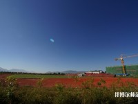 云南2020年初中生有哪些幼師學(xué)校？