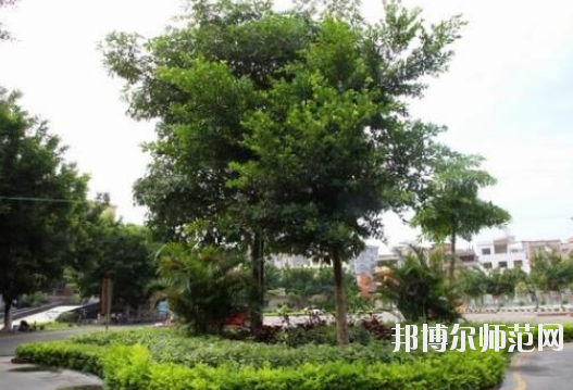 羅定中等職業(yè)技術(shù)學校2