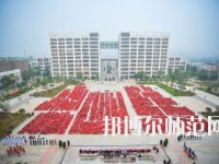 昆明2021年設(shè)有幼師學(xué)校的公辦大專(zhuān)學(xué)校