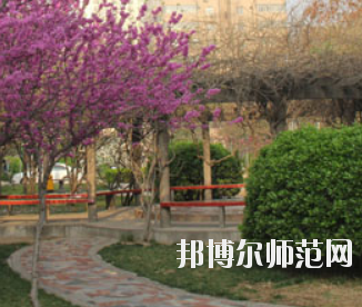 鄭州2020年幼師學(xué)?？梢詫W(xué)什么