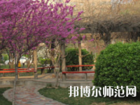 鄭州2020年幼師學(xué)?？梢詫W(xué)什么