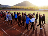 石家莊幼兒師范高等?？茖W(xué)校歷年招生錄取分?jǐn)?shù)線