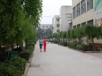 許昌幼兒師范學(xué)校2023年學(xué)費(fèi)、收費(fèi)多少