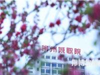 柳州城市職業(yè)師范學(xué)院2023年怎么樣、好不好