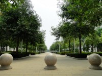 廣西現(xiàn)代職業(yè)技術(shù)師范學(xué)院2023年報(bào)名條件、招生要求、招生對(duì)象
