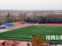 鶴崗師范高等?？茖W校2023年招生代碼