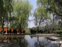 西安2021年幼師學(xué)校哪個專業(yè)比較好