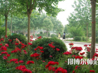 河南科技職業(yè)師范大學(xué)2023年報名條件、招生要求、招生對象