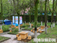重慶安全技術(shù)幼兒師范職業(yè)學院2023年有哪些專業(yè)