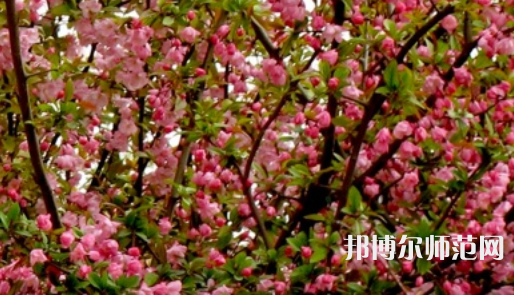 鄭州大學(xué)師范學(xué)院南校區(qū)2023年怎么樣、好不好