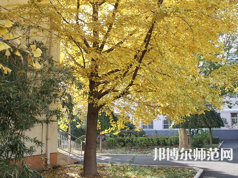 北京京北職業(yè)師范技術(shù)學(xué)院2023年報(bào)名條件、招生要求、招生對(duì)象