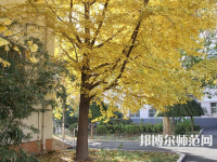 北京京北職業(yè)師范技術(shù)學(xué)院2023年報名條件、招生要求、招生對象