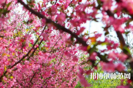 鄭州大學(xué)師范學(xué)院主校區(qū)2023年報名條件、招生要求、招生對象