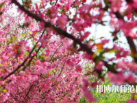 鄭州大學(xué)師范學(xué)院主校區(qū)2023年報名條件、招生要求、招生對象