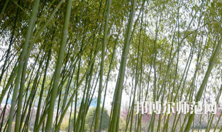 周口職業(yè)技術(shù)師范學(xué)院開元校區(qū)2023年報(bào)名條件、招生要求、招生對(duì)象
