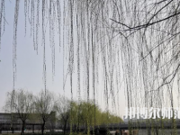 鶴壁職業(yè)技術師范學院2023年怎么樣、好不好