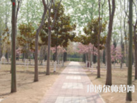 濮陽職業(yè)技術(shù)師范學(xué)院2023年報名條件、招生要求、招生對象