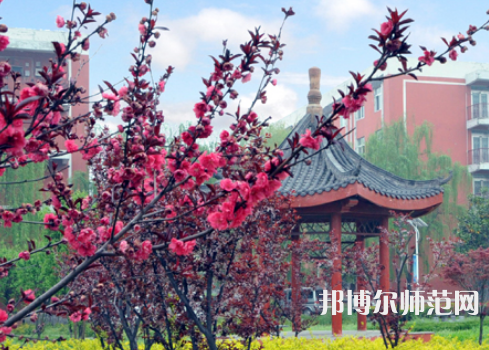 駐馬店師范職業(yè)技術(shù)學(xué)院2023年報名條件、招生要求、招生對象