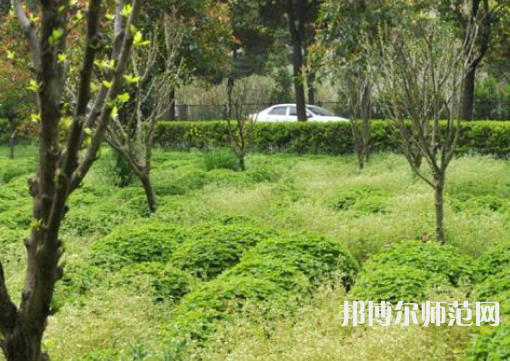 駐馬店師范職業(yè)技術(shù)學(xué)院2023年報名條件、招生要求、招生對象
