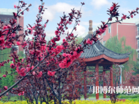 駐馬店師范職業(yè)技術(shù)學(xué)院2023年報名條件、招生要求、招生對象