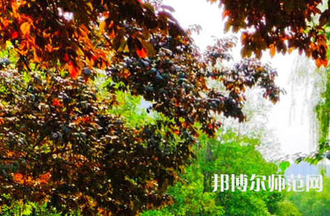河南大學師范學院金明校區(qū)2023年怎么樣、好不好