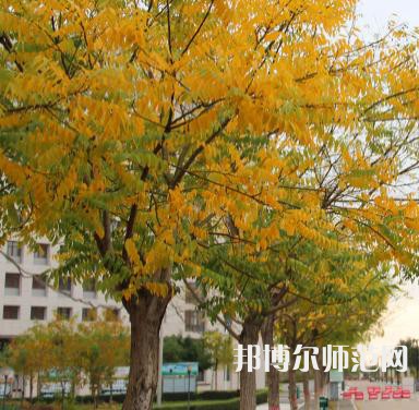 榆林職業(yè)技術師范學院2023年怎么樣、好不好