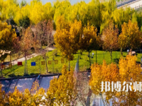河南理工師范大學(xué)北校區(qū)2023年報名條件、招生要求、招生對象