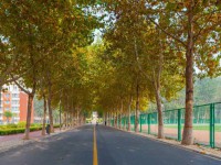 聊城師范大學(xué)東昌學(xué)院2023年報(bào)名條件、招生要求、招生對(duì)象
