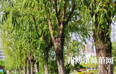 南陽理工師范學(xué)院2023年報(bào)名條件、招生要求、招生對象
